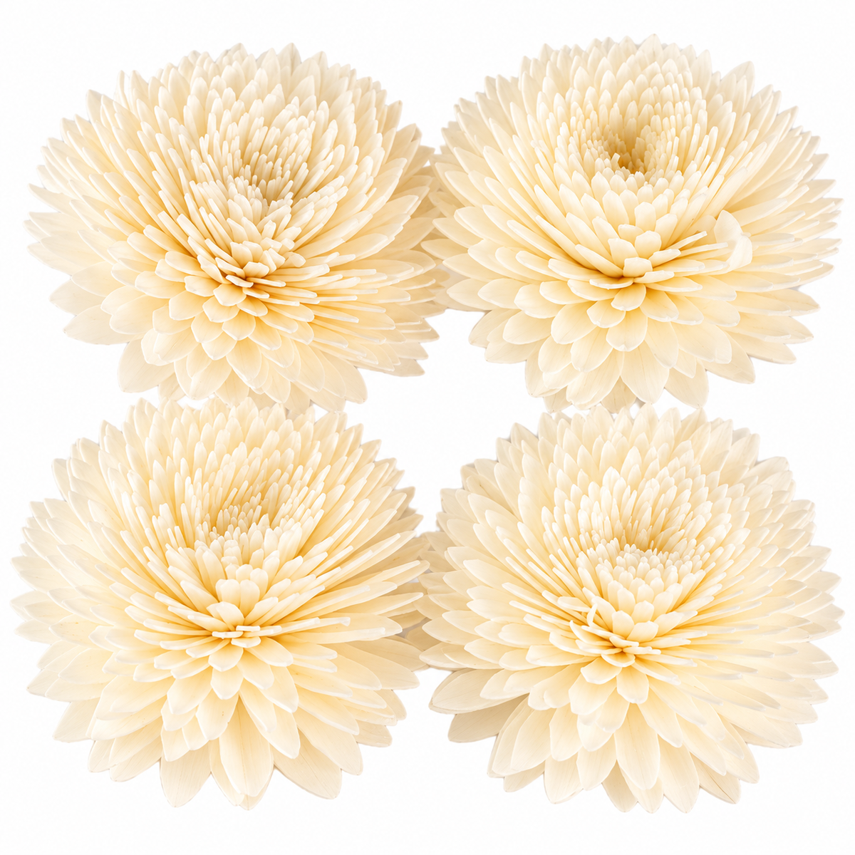 Carnation Diffuser Flowers on Strings (Large) - Set of 4