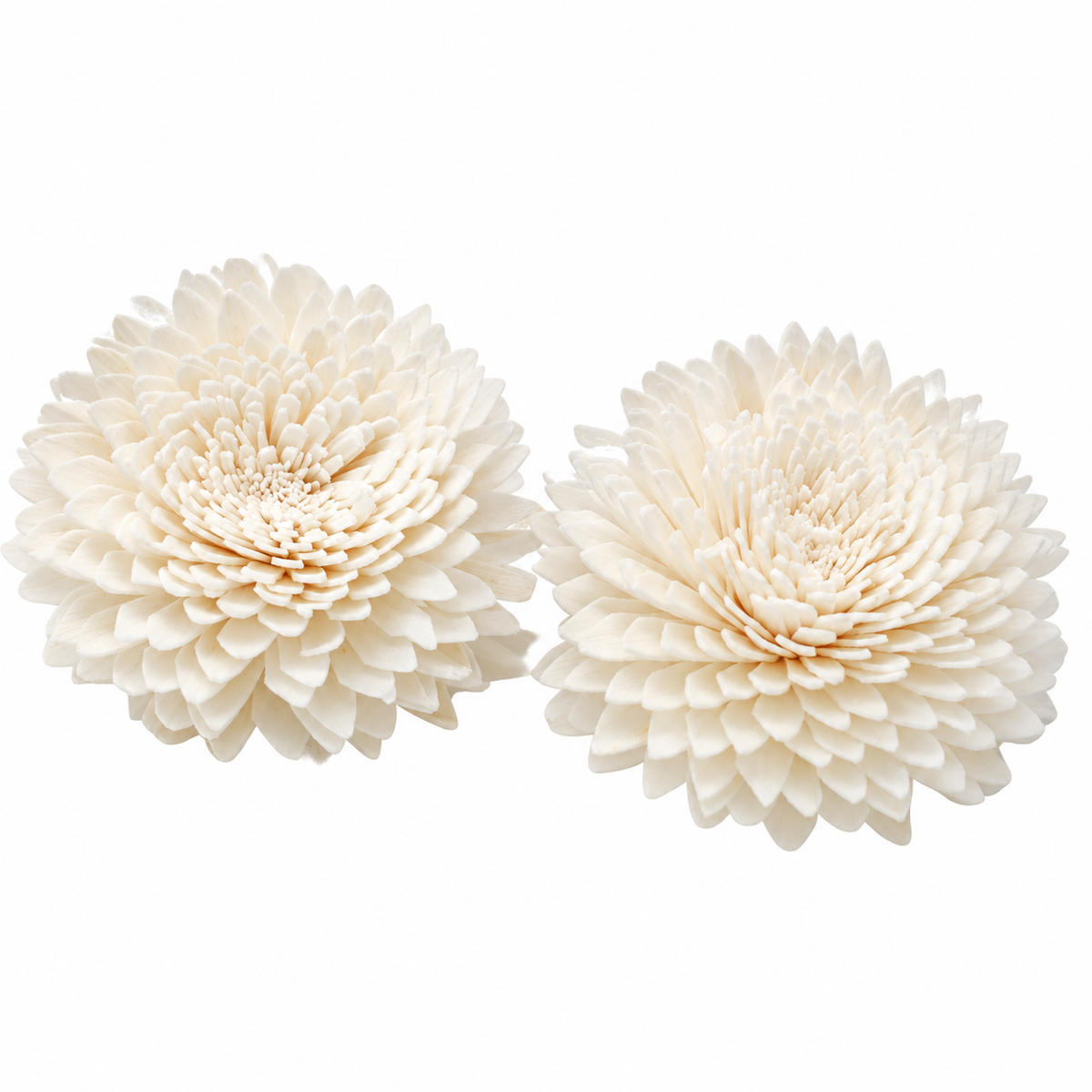Carnation Diffuser Flowers on Strings (Large) - Set of 4