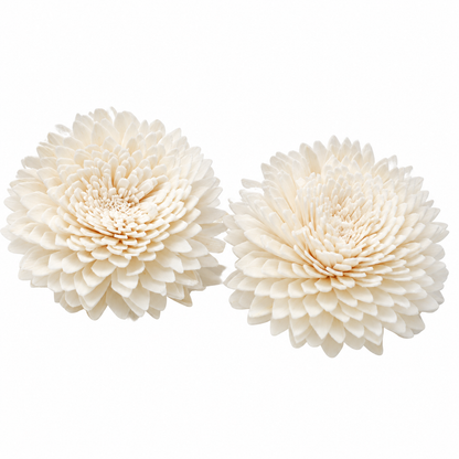 Carnation Diffuser Flowers on Strings (Large) - Set of 4