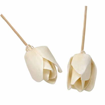 Tulip Diffuser Flowers on Reeds - Set of 4