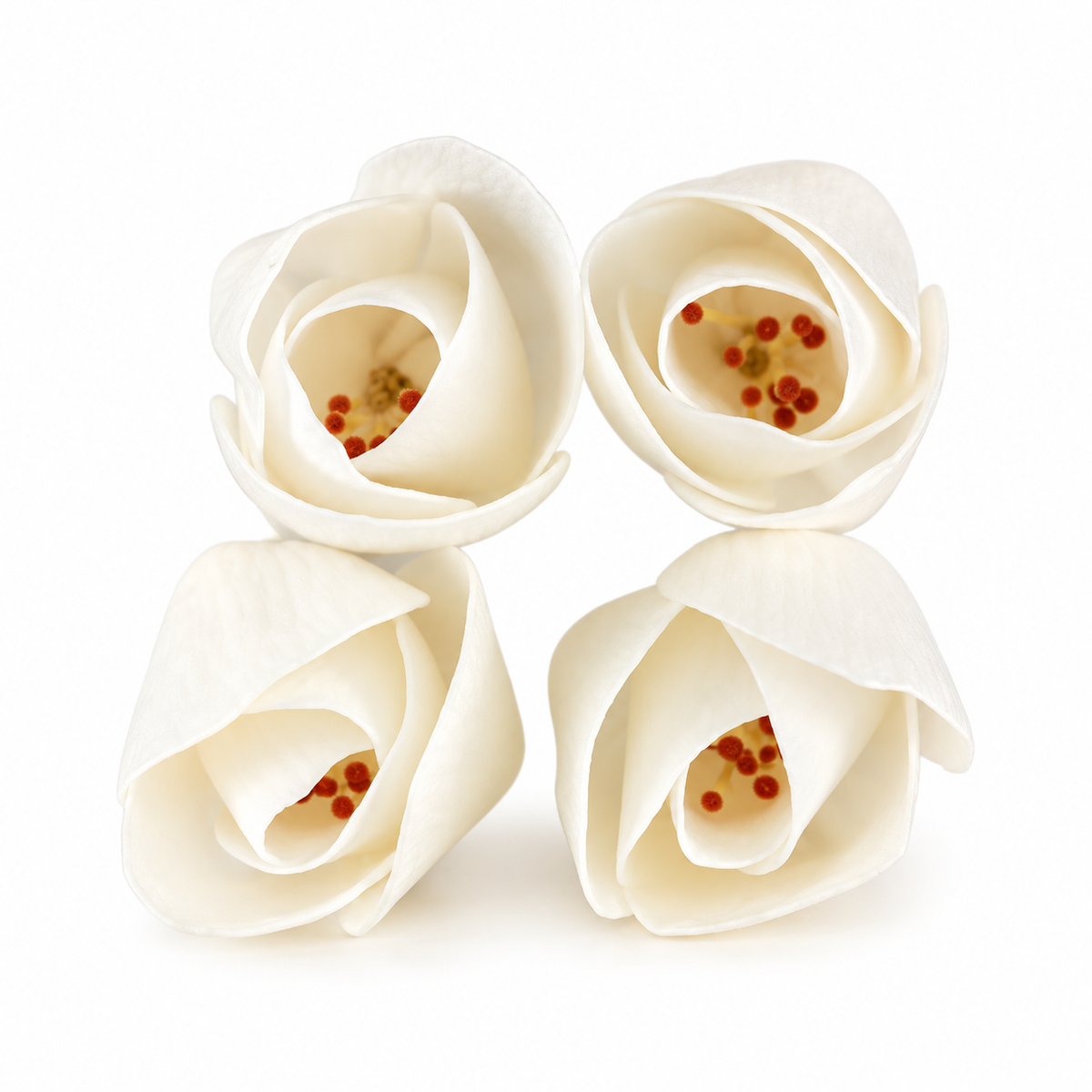 Tulip Diffuser Flowers on Reeds - Set of 4